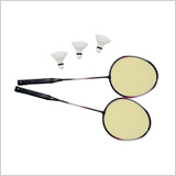2 Player Badminton